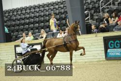 24BUCK_06788 proof
