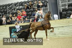 24BUCK_06789 proof
