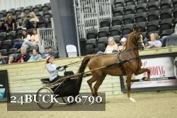 24BUCK_06790 proof