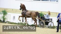 24BUCK_06795 proof