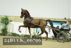 24BUCK_06796 proof