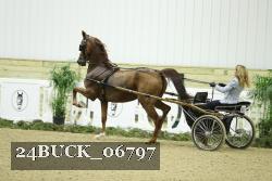 24BUCK_06797 proof