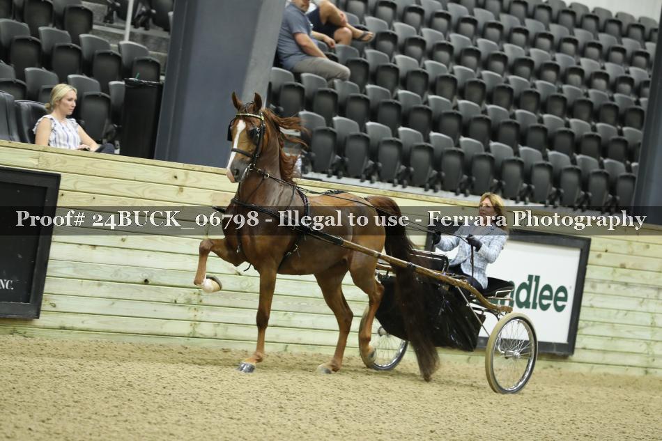 Proof 24BUCK_06798
