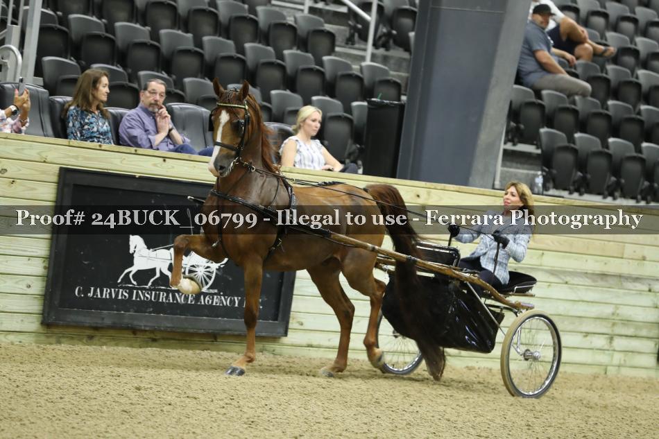 Proof 24BUCK_06799