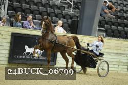 24BUCK_06799 proof