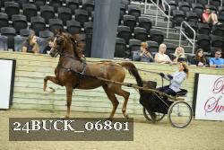 24BUCK_06801 proof
