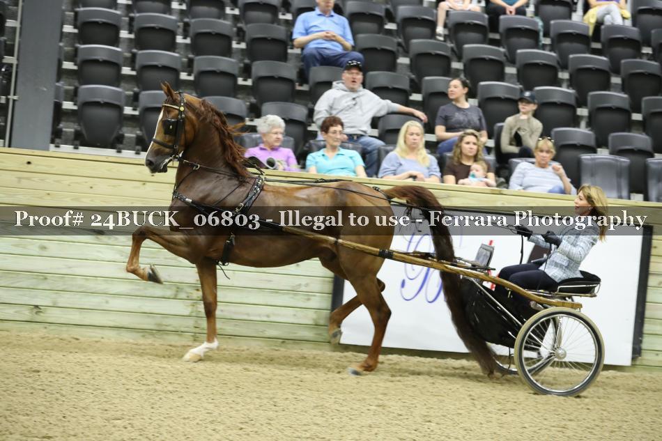 Proof 24BUCK_06803