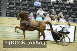 24BUCK_06803 proof