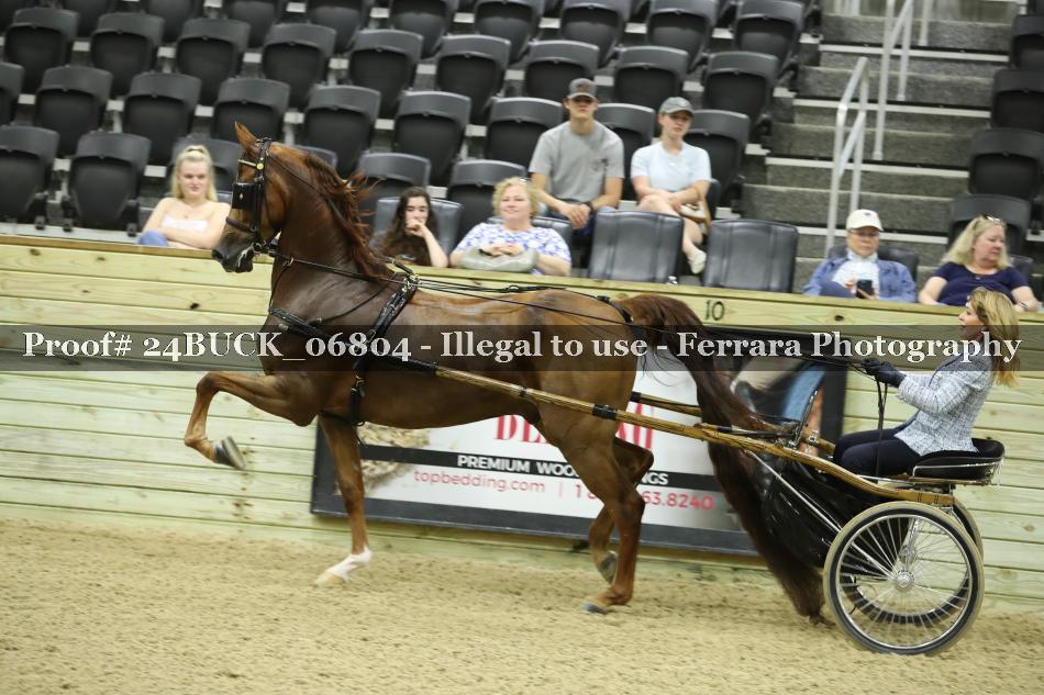 Proof 24BUCK_06804