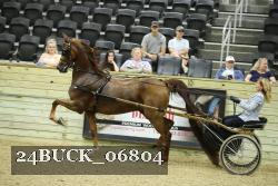 24BUCK_06804 proof