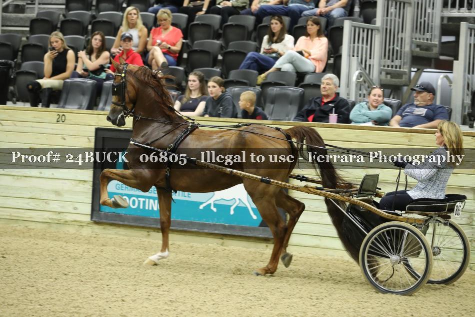 Proof 24BUCK_06805