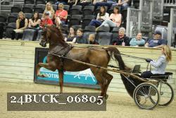 24BUCK_06805 proof