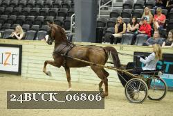 24BUCK_06806 proof
