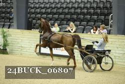 24BUCK_06807 proof