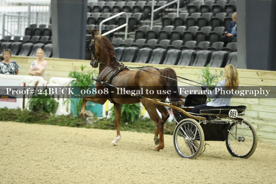 Proof 24BUCK_06808