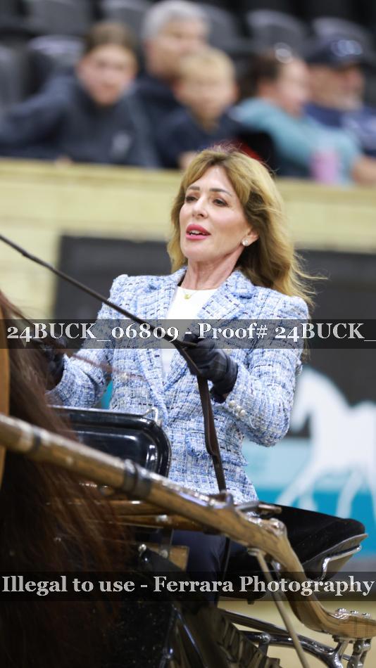 Proof 24BUCK_06809