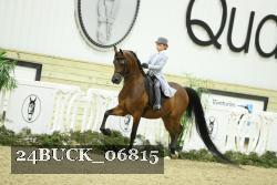 24BUCK_06815 proof