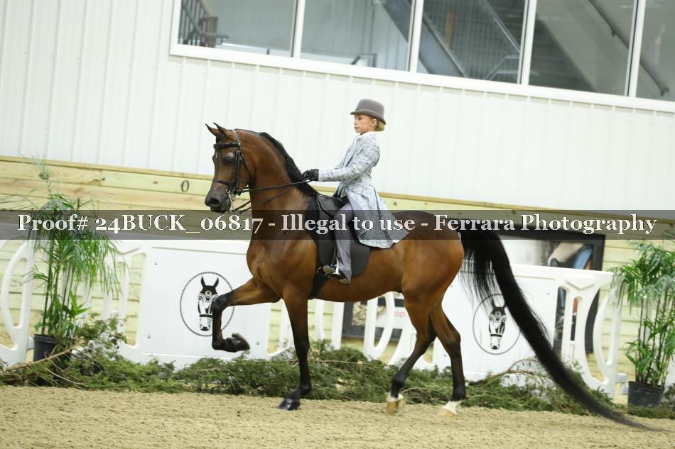 Proof 24BUCK_06817