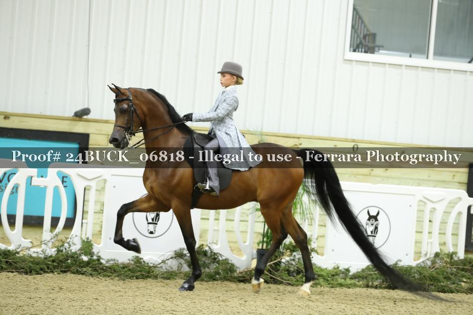Proof 24BUCK_06818