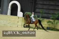 24BUCK_06820 proof