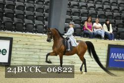 24BUCK_06822 proof