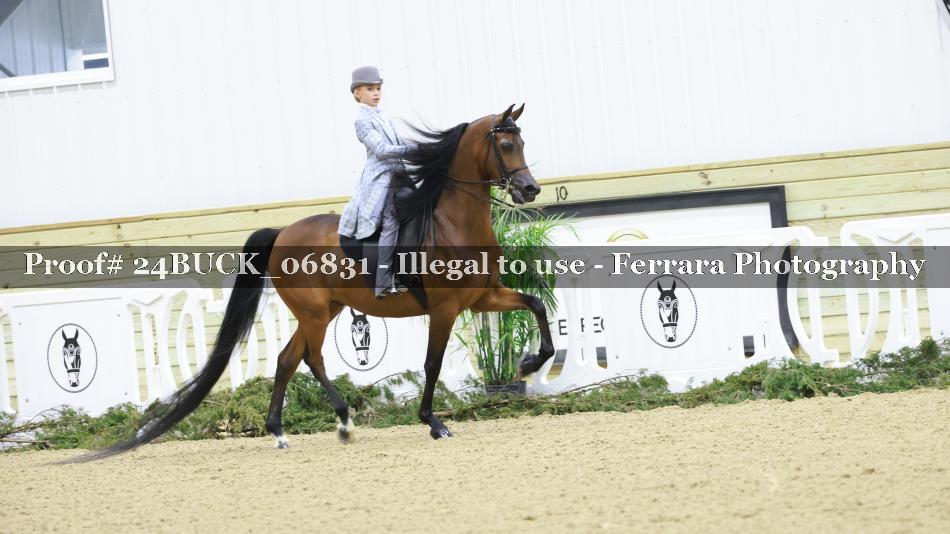 Proof 24BUCK_06831