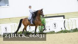 24BUCK_06831 proof
