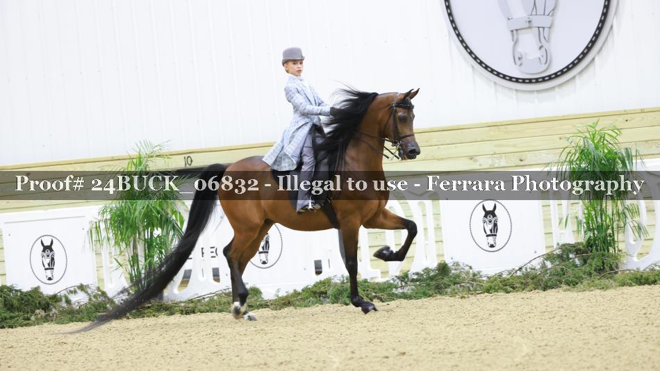 Proof 24BUCK_06832