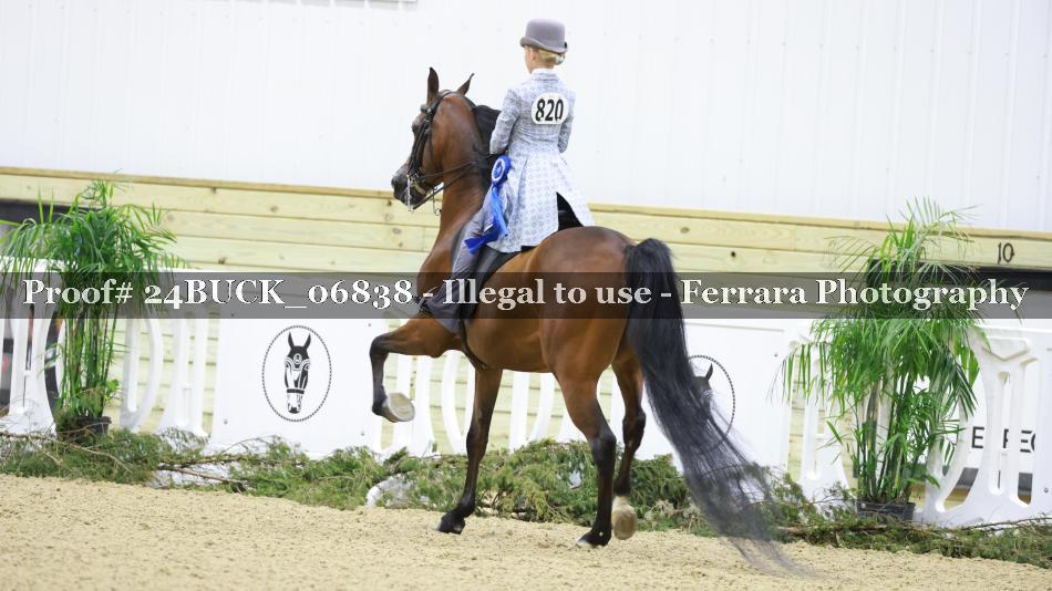 Proof 24BUCK_06838