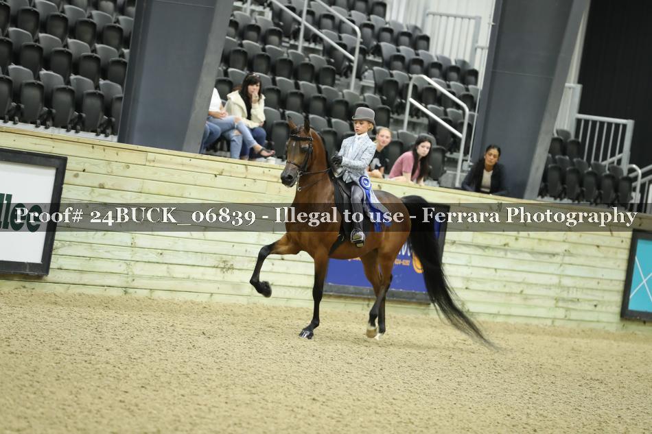 Proof 24BUCK_06839