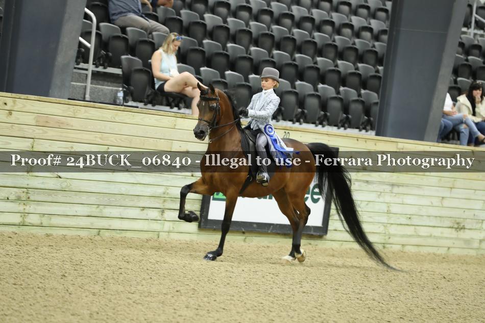 Proof 24BUCK_06840