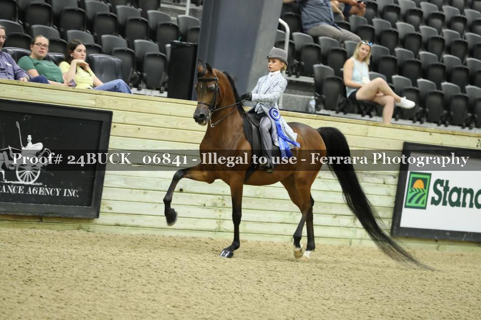 Proof 24BUCK_06841