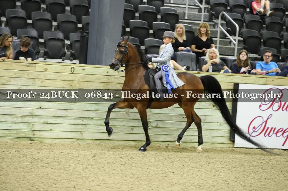 Proof 24BUCK_06843