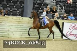 24BUCK_06843 proof
