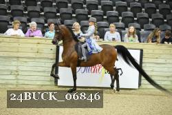 24BUCK_06846 proof