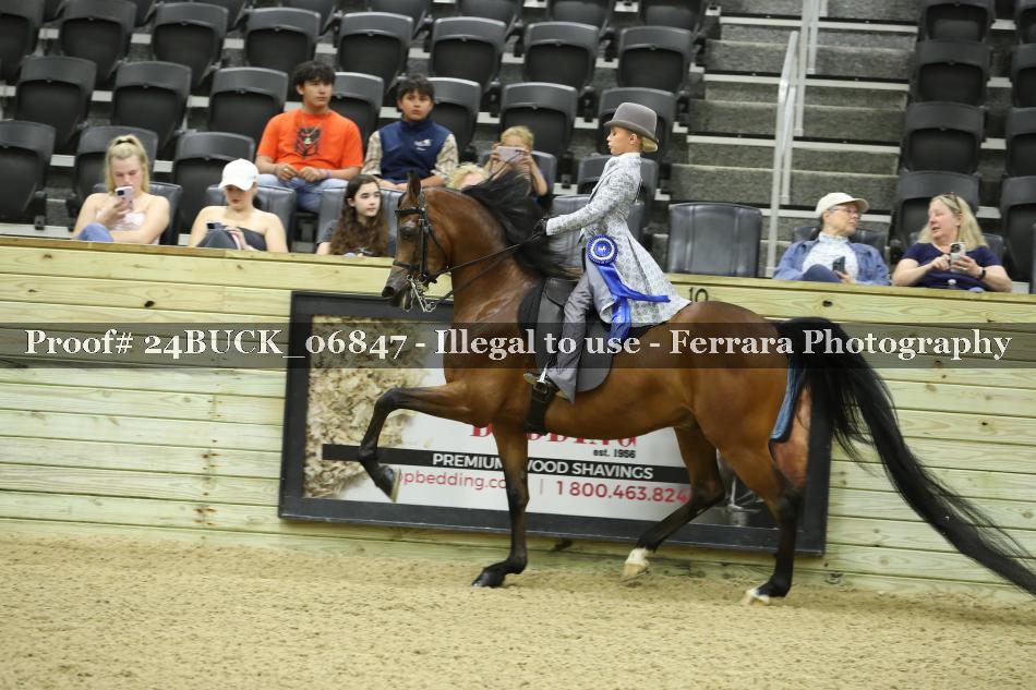 Proof 24BUCK_06847