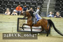 24BUCK_06847 proof