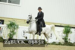 24BUCK_06852 proof