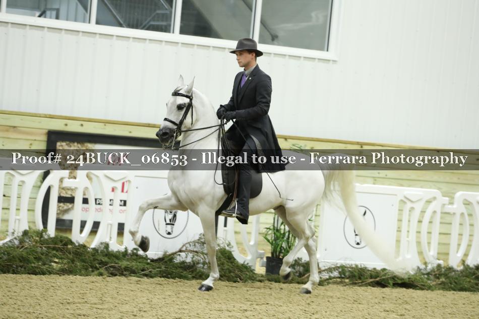 Proof 24BUCK_06853