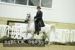 24BUCK_06853 proof