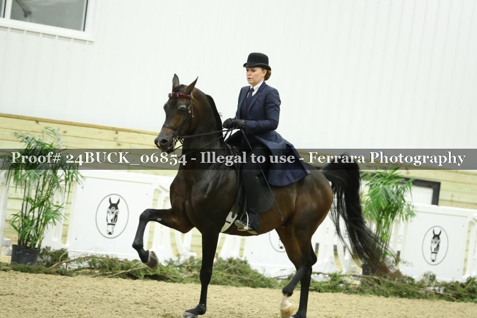 Proof 24BUCK_06854