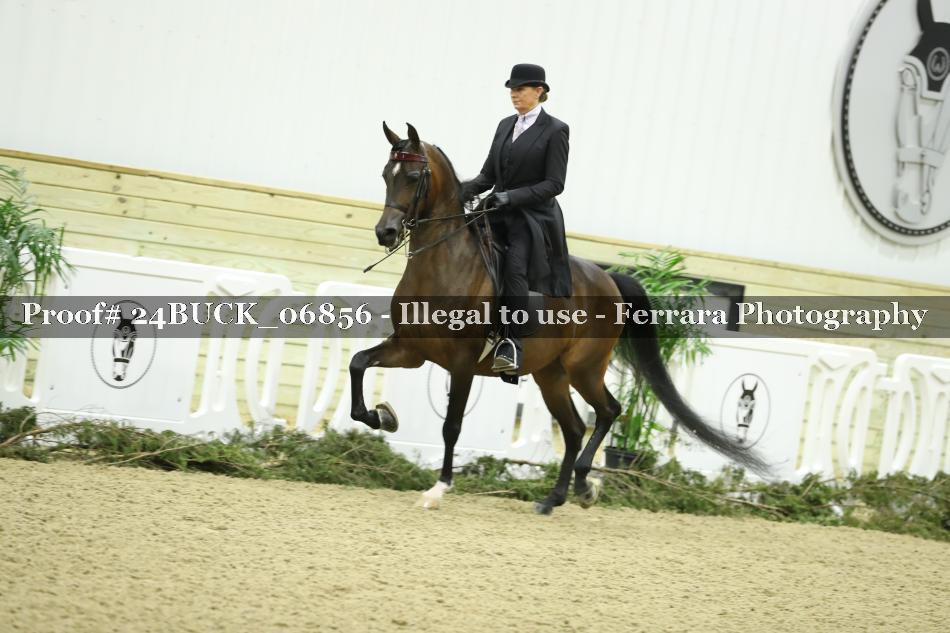 Proof 24BUCK_06856