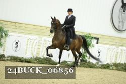 24BUCK_06856 proof