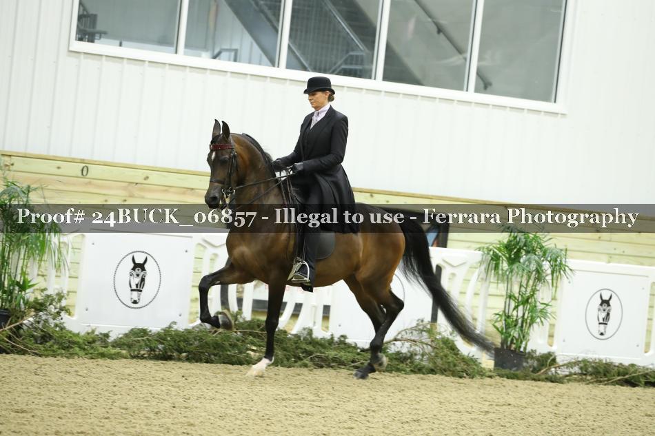 Proof 24BUCK_06857