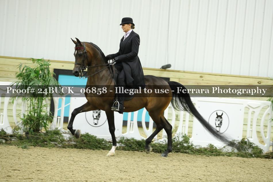 Proof 24BUCK_06858