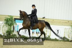 24BUCK_06858 proof
