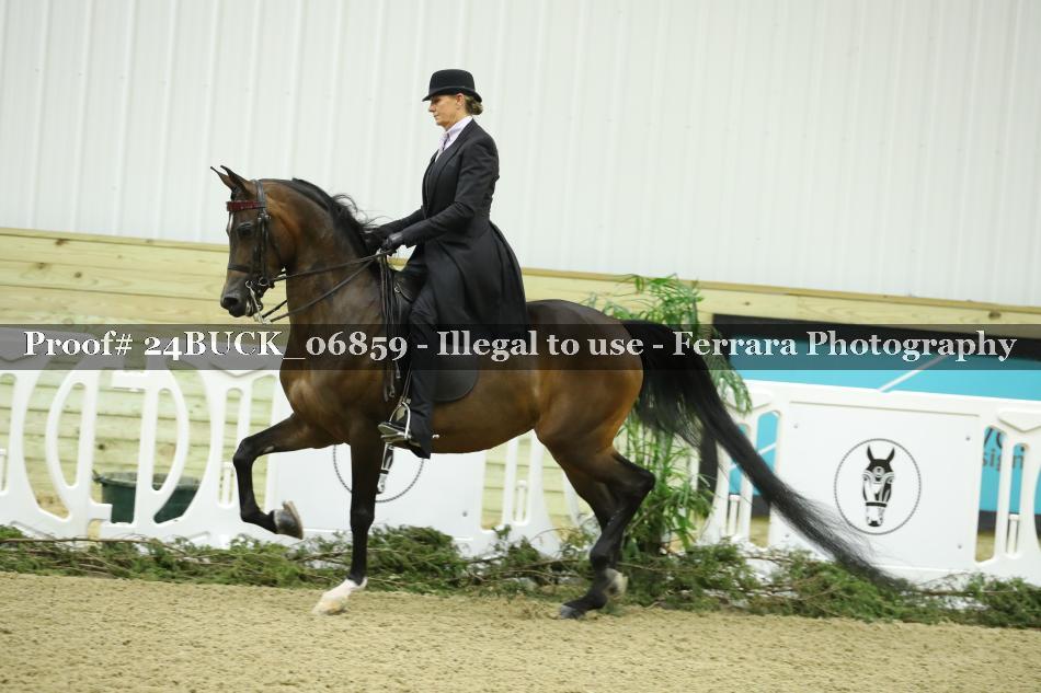 Proof 24BUCK_06859