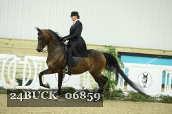 24BUCK_06859 proof