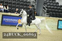 24BUCK_06863 proof