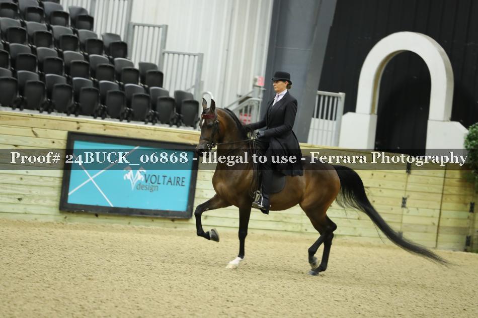 Proof 24BUCK_06868